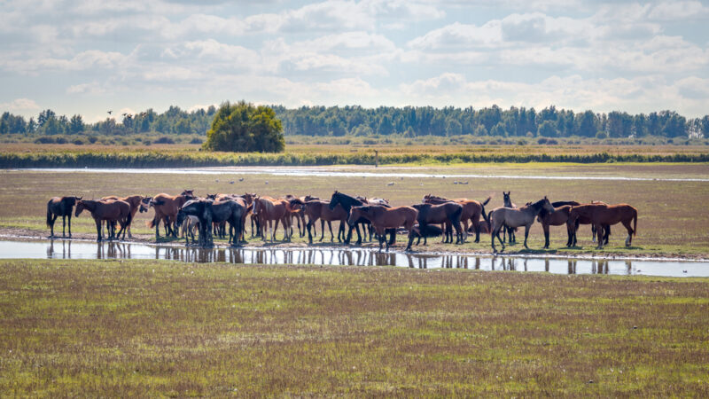 Lauwersmeer in Het Hogeland